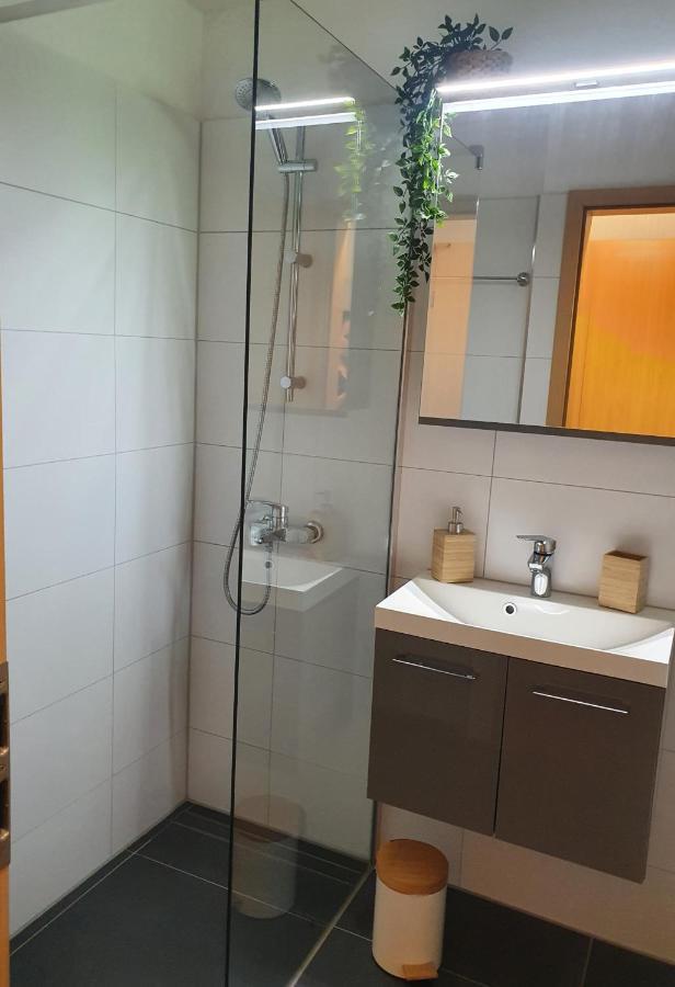 Ferienwohnung Naturseelen mit Schwimmbad und Sauna Braunlage Exterior foto