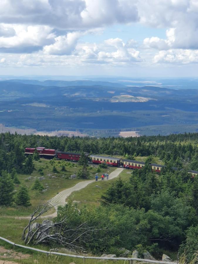Ferienwohnung Naturseelen mit Schwimmbad und Sauna Braunlage Exterior foto