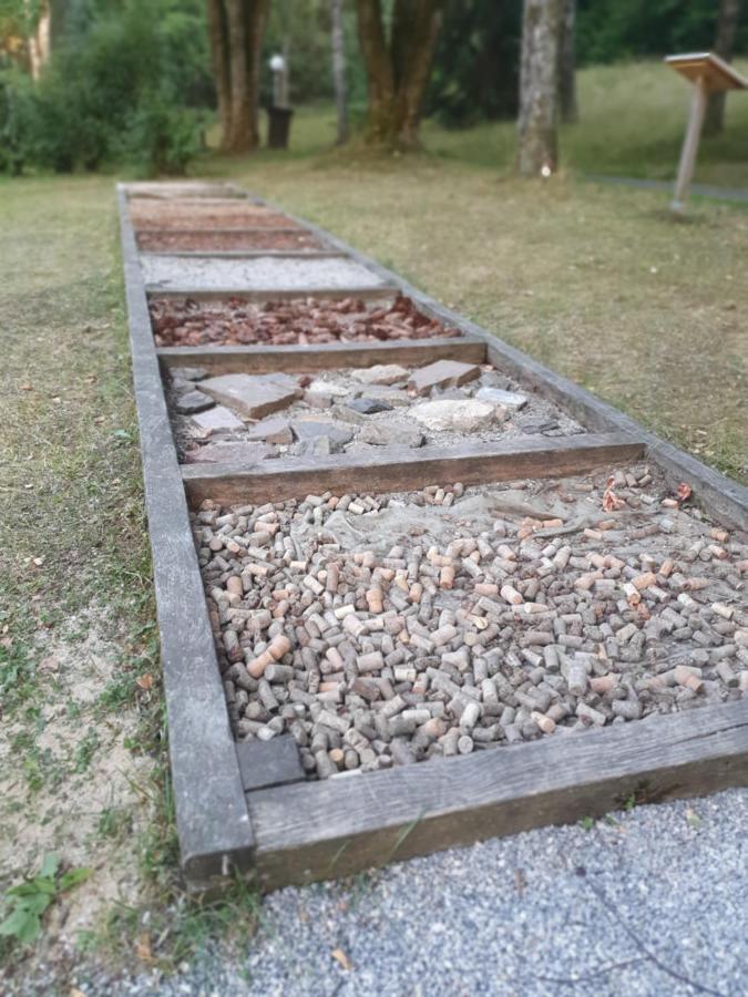 Ferienwohnung Naturseelen mit Schwimmbad und Sauna Braunlage Exterior foto