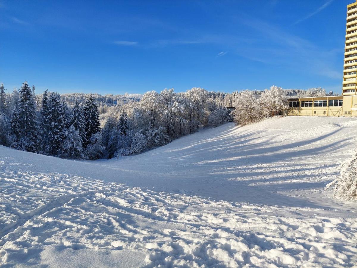 Ferienwohnung Naturseelen mit Schwimmbad und Sauna Braunlage Exterior foto